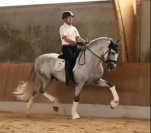 Olivero: un cheval pour profiter en toute confiance