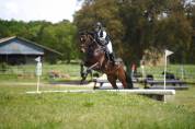 Superbe entier - 5 ans - cce