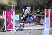 Poney d potentiel cce/cso (vet check + xrays ok )