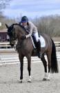 Poney dressage fei