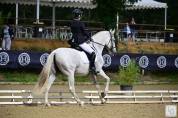 Pre - 11 ans - dressage - expérience en compétition 