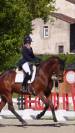 Magnifique - jument - 9 ans - dressage 