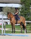 Magnifique jument 9 ans 