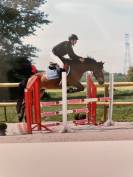 à vendre ponette de sport 