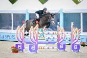 Jument de sport de 6 ans