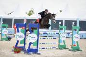 Jument de sport de 6 ans