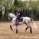 Un cheval facile, très avancé, et à un prix vraiment.