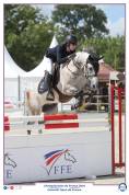 A vendre poney de sport fado d hurl vent