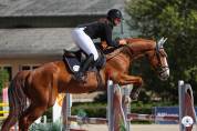Hongre gagnant en 6 ans classique 