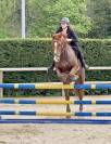 Top sf hunter et cso