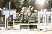 Poney d’as à vendre 