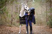 Poney maitre d école a vendre 