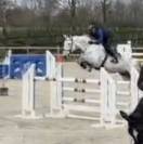 Excellente jument de 9 ans 1m70