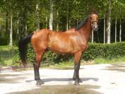 Express de ligny