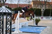 Hongre pfs 6 ans – 1m47 – idéal as poney