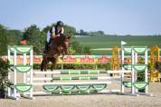 Locksley, poney d de 4 ans