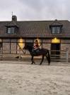 Ponette à vendre 