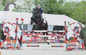 Superbe hongre 9 ans 