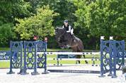A vendre hongre par balou du rouet