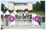 Mâle connemara 8 ans 