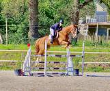 Top hongre sf de 10 ans pourcce 2*, ama elite