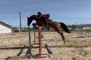 5 ans cso / cce 