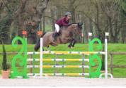 à vendre jument holsteiner 6 ans de qualité 