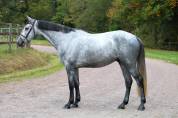 Kobalt du bigachon