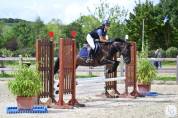 Top poney polyvalent tous niveaux