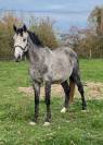 Male 3 ans sf par catchar mail 