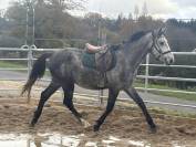 Male 3 ans sf par catchar mail 