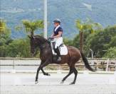 Jument dressage expérience en compétition