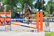 Poney incroyable!