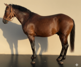 Un cœur doux avec une vraie école traditionnelle