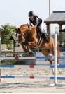 Poney d 11ans ideal famille et concours