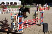 Poney de sport à vendre