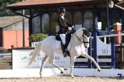 Jument - lusitanienne - 12 ans - dressage  psg - france
