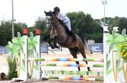 Jument sf top lignée 