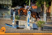Jument sf 4 ans cooper vd heffnick 