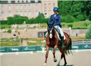 Jument hanovrienne dressage 10 ans