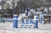 Super cheval de concours 